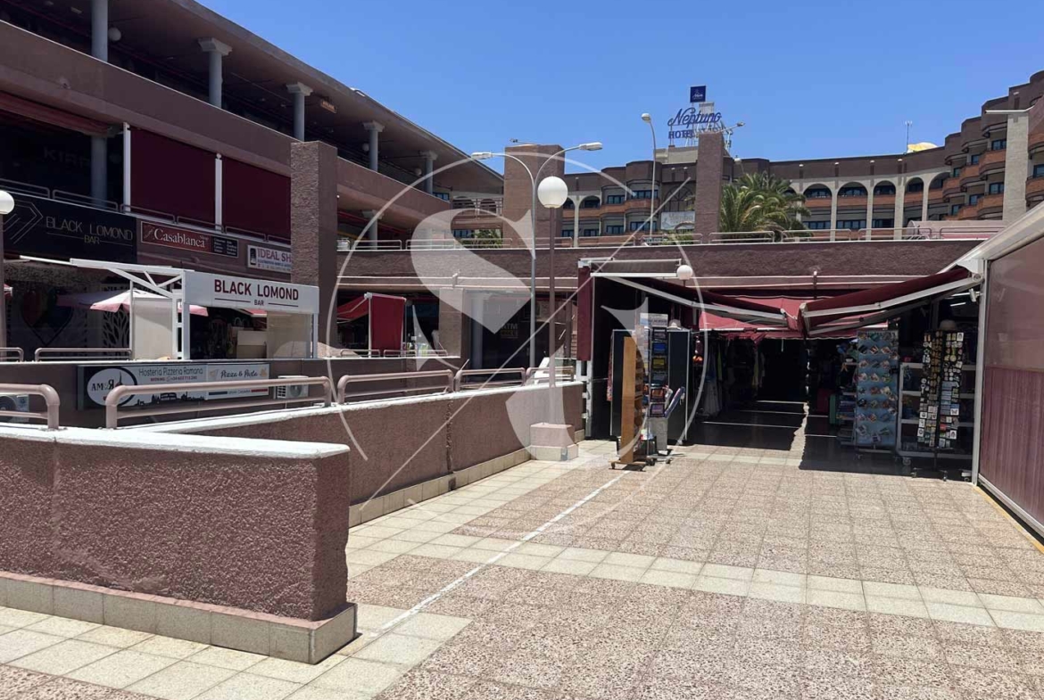 voici un des biens immobiliers que notre agence SC-INMOBILIARIA met en location à Maspalomas sur l'ile de gran canaria